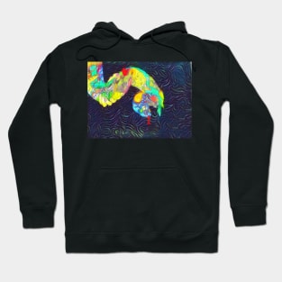 Python 7 Hoodie